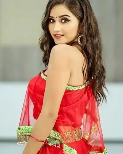Call Girls Service Nilakkottai